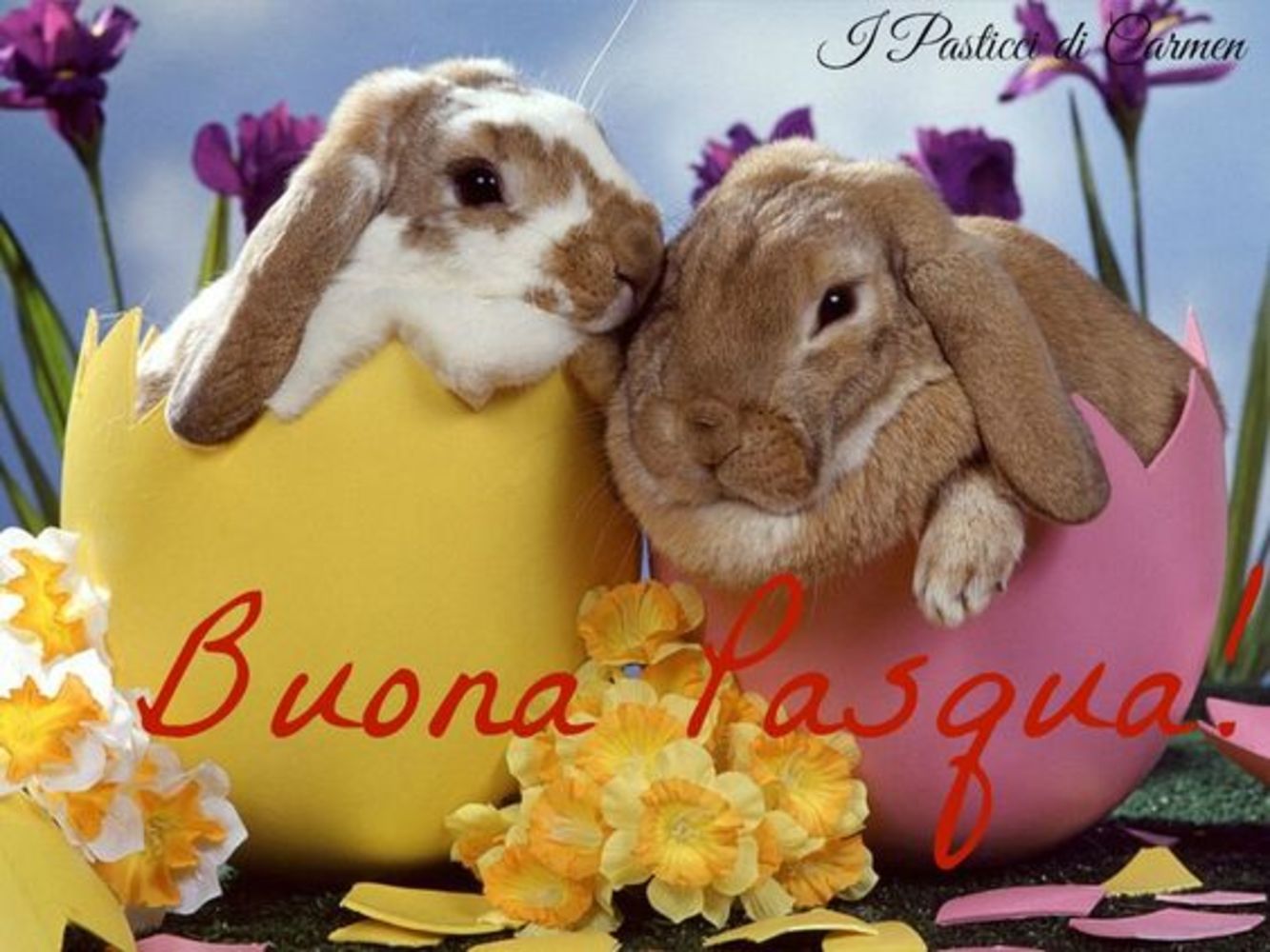 Buona Pasqua Gruppo Facebook